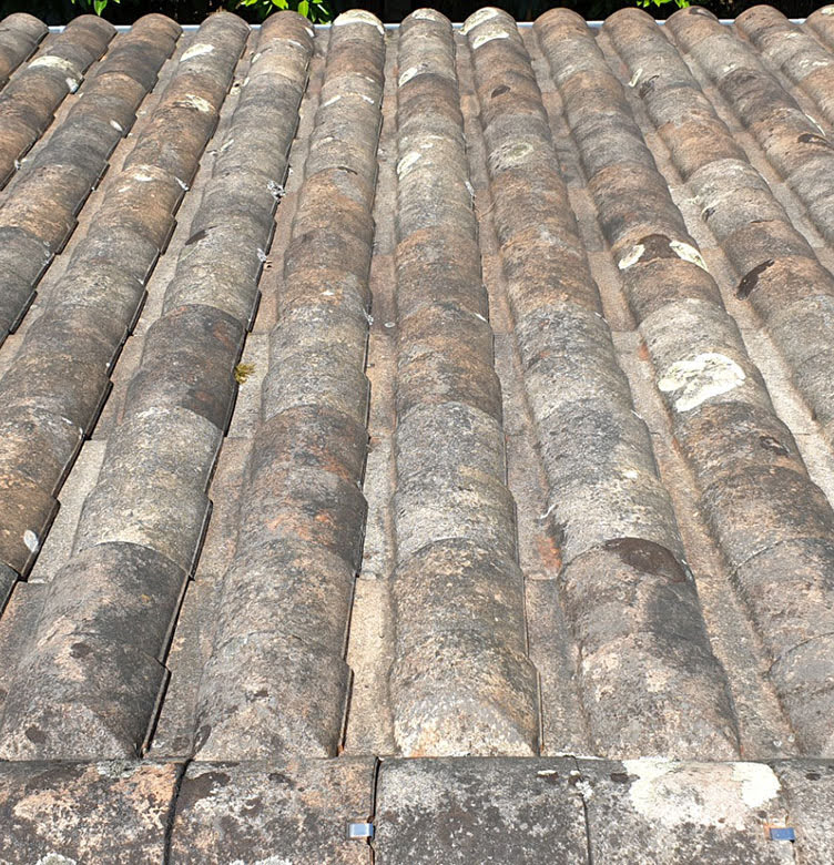 Nettoyage et traitement toiture à Saint-Cyprien en Dordogne